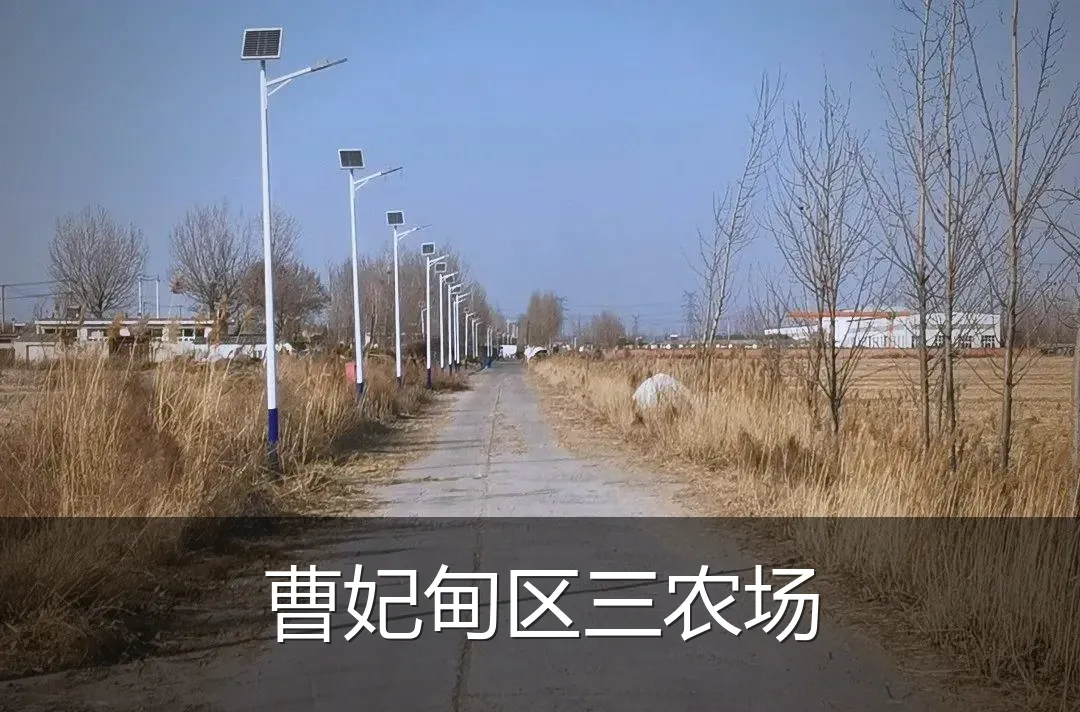 曹妃甸区三农场