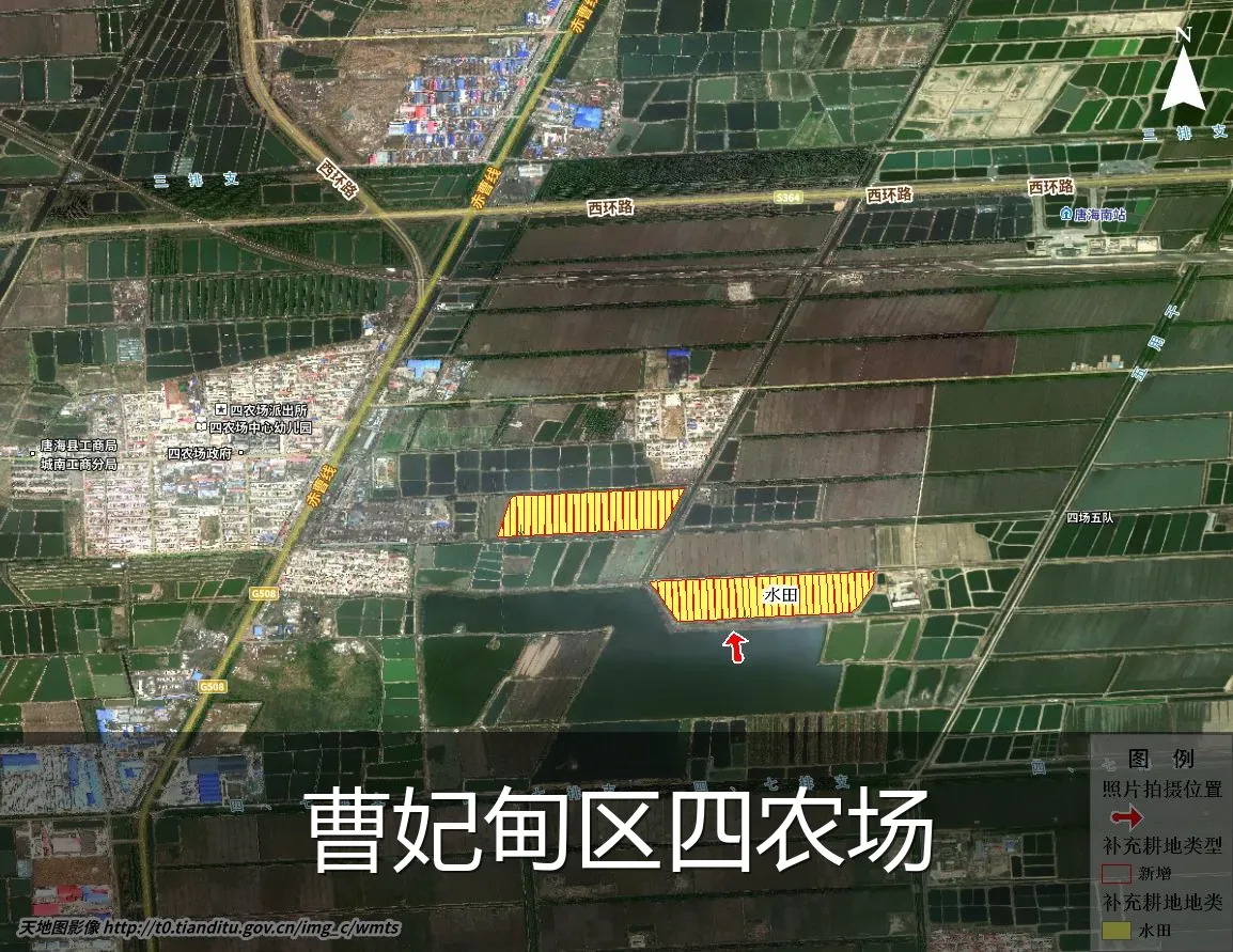 曹妃甸区四农场