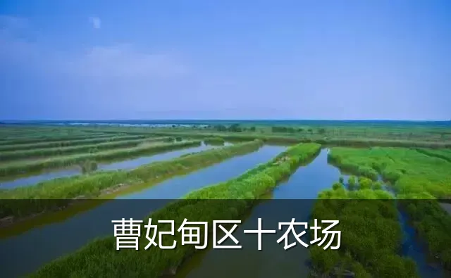 曹妃甸区十农场