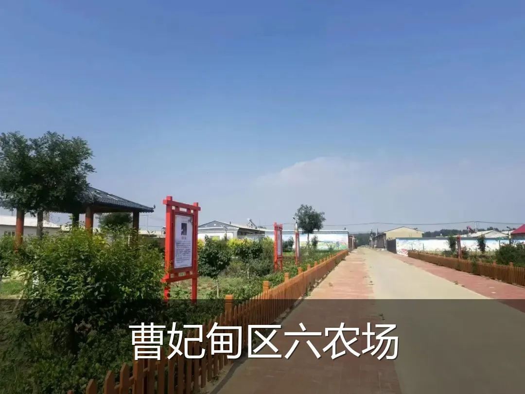曹妃甸区六农场